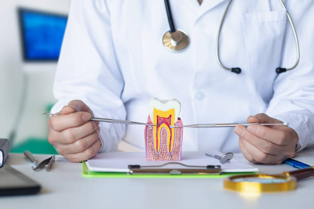 Best Emergency Tooth Extraction in Fremont, NE